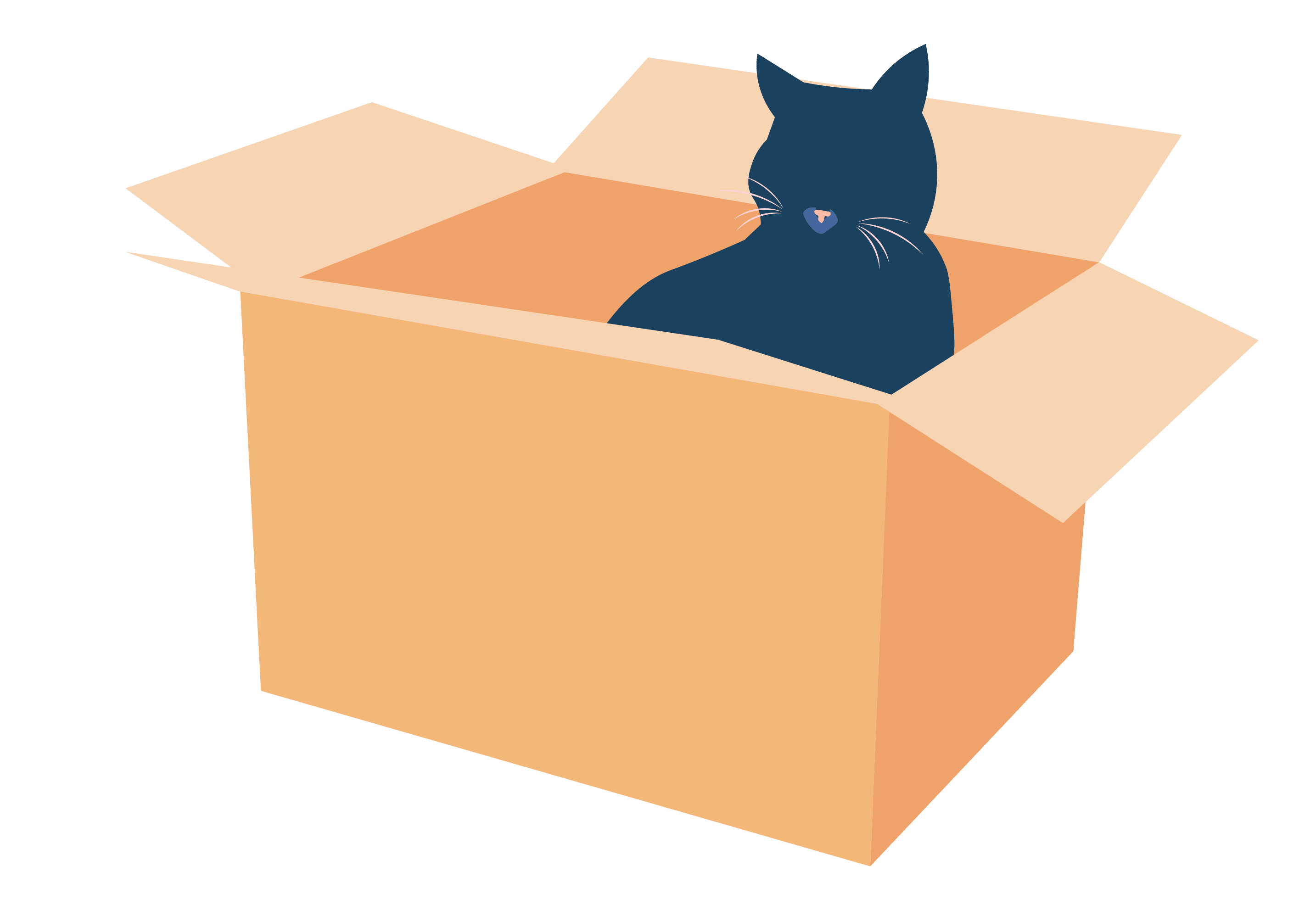 Convenience Pet Hospitals in Golden CO cat in box