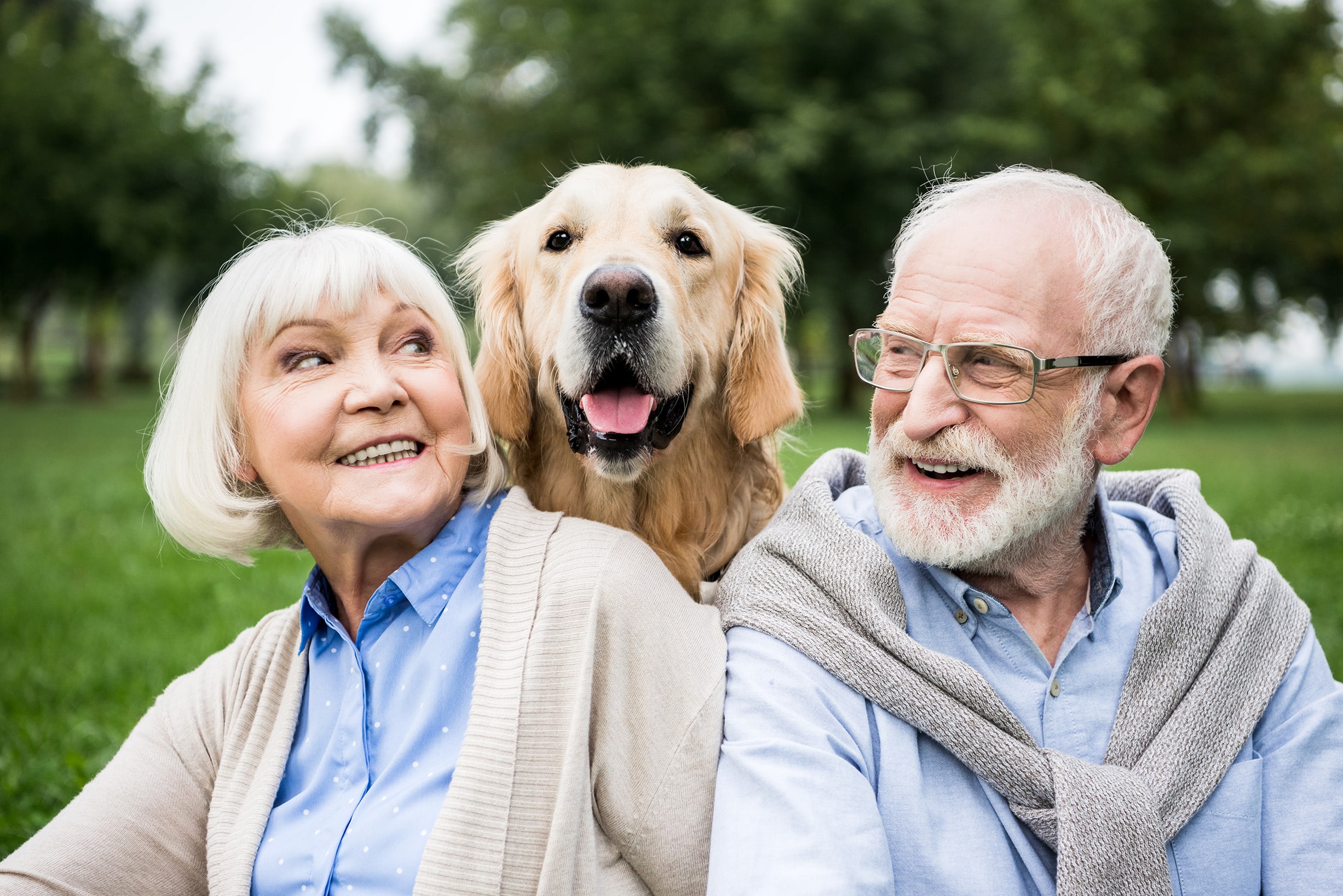 elderly couple with golden retriever - Convenience Pet Hospitals